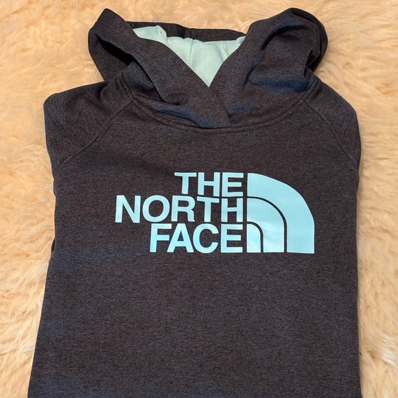 The North Face Logo Black and Teal Pullover Hoodie Sweatshirt - Picture 4 of 5